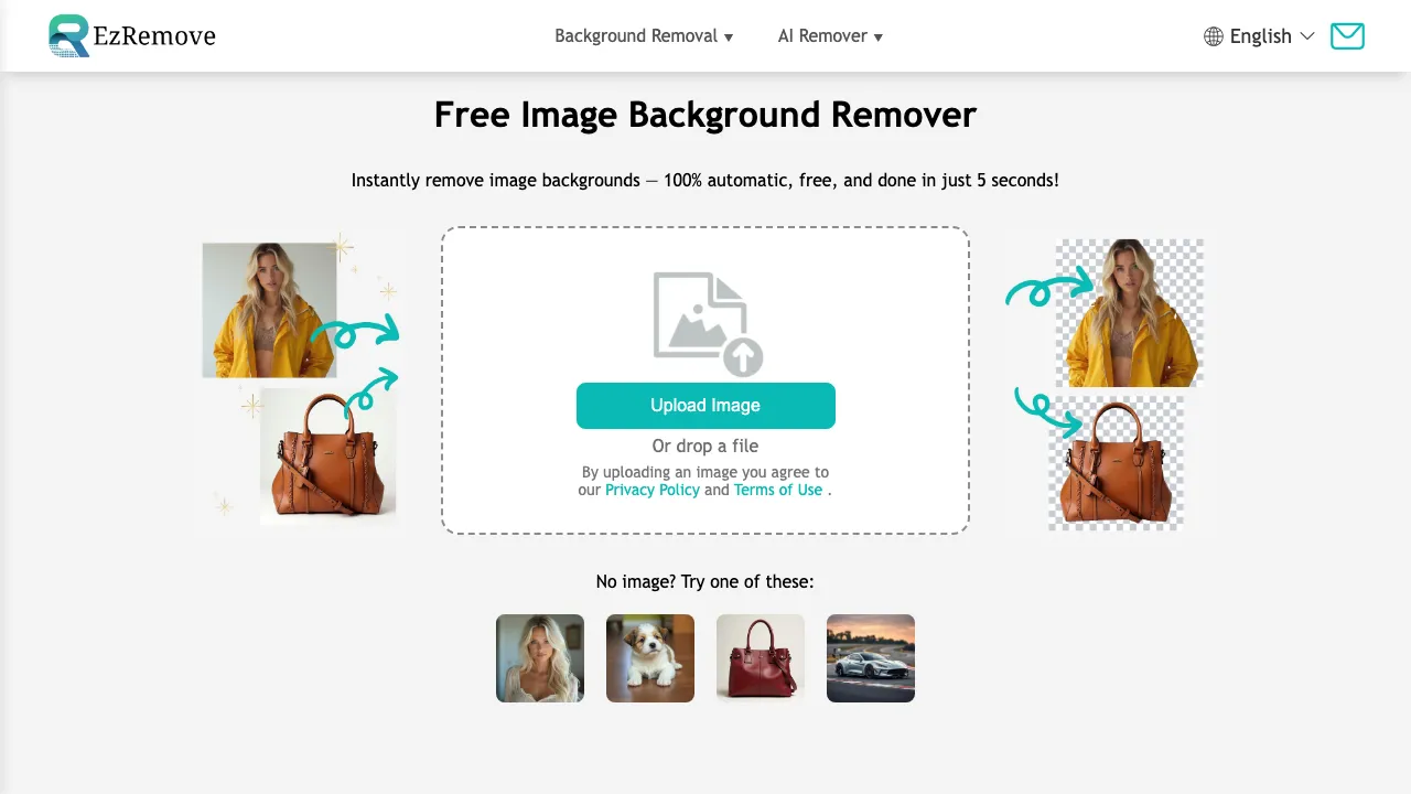 EzRemove screenshot