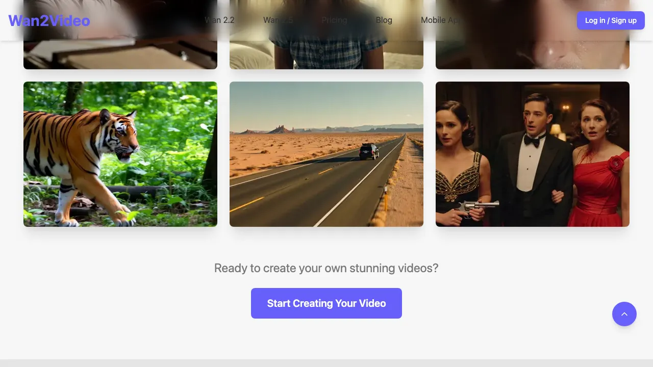 Wan2Video screenshot