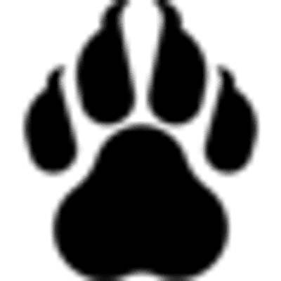 ClawCloud Run Logo